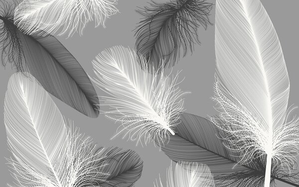 Fotótapéta Finom tollak lágy egyszínűségben, 3D fotótapéta, Népszerű fotótapéta, u04919 - Tapeko.hu