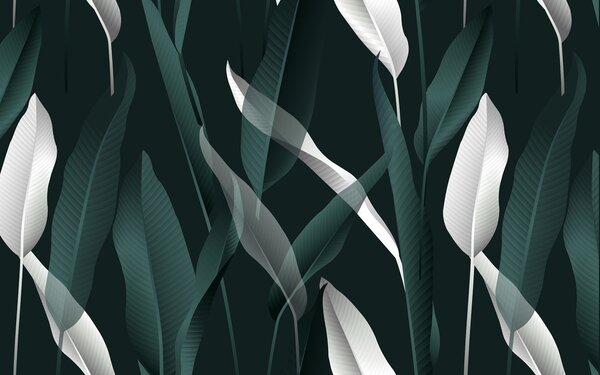 Fotótapéta A trópusi levelek elegáns mintát alkotnak, Modern fotótapéta, Modern fotótapéta, u10347 - Muralas.hu