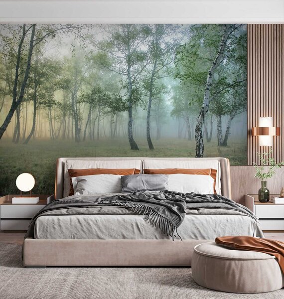 Fotótapéta Ködös erdő fákkal, Designer fali fotótapéta, Népszerű fotótapéta, u25820 - Tapeko.hu