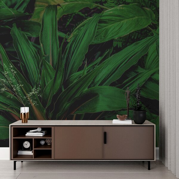 Fotótapéta Dús zöld levelek a dzsungelben, Modern fotótapéta, Modern fotótapéta, u41136 - Muralas.hu