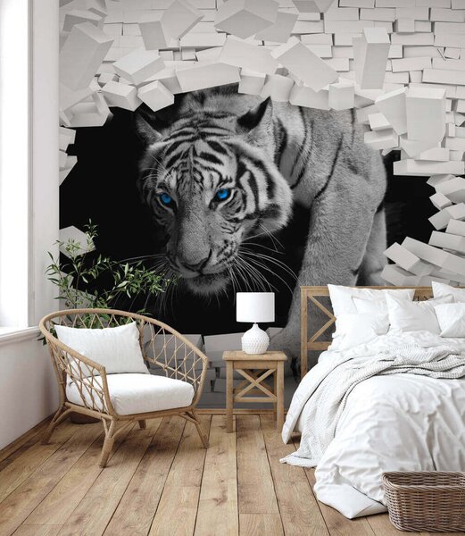 Fotótapéta Tigris jön át egy lyukon a falon, Designer fali fotótapéta, Népszerű fotótapéta, u53013 - Tapeko.hu