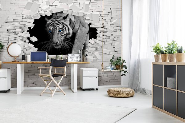 Fotótapéta Tigris jön át egy lyukon a falon, Designer fali fotótapéta, Népszerű fotótapéta, u53013 - Tapeko.hu