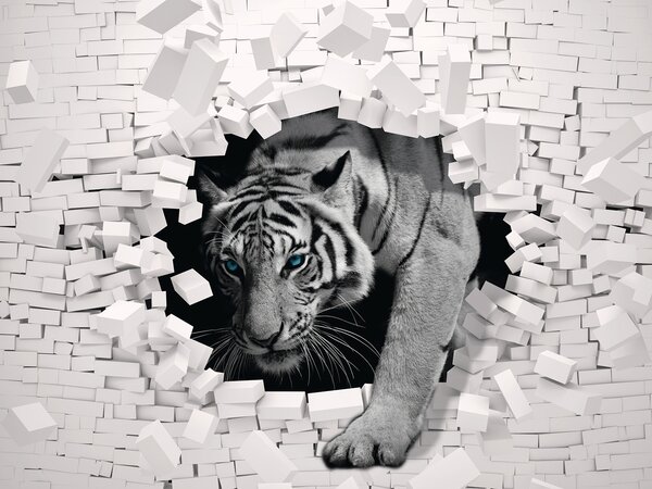 Fotótapéta Tigris jön ki a falból, Állatos fotótapéta, Népszerű fotótapéta, u53521 - Tapeko.hu