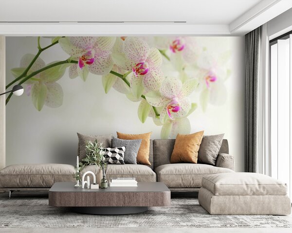 Fotótapéta Nyugodt vízben tükröződő orchideák, Modern fotótapéta, Modern fotótapéta, u56335 - Muralas.hu