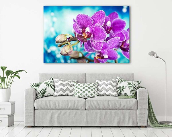 Virágok - Orchidea, Orchidea (vászonkép)