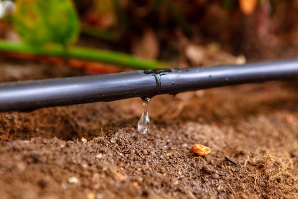 Bradas Csepegtető öntözőkészlet WATER DRIP - 50 m