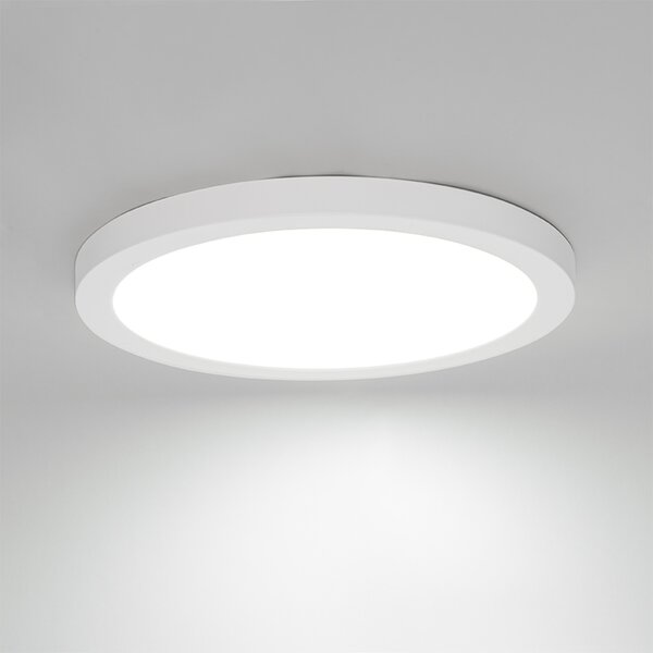 Felületre szerelhető vagy süllyesztett spotlámpa fehér 30 cm LED-del, 3 lépéses Dim to Warm funkcióval és Dip Switch-csel - Trans