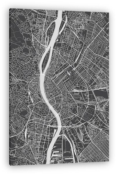 Budapest city plan, detailed vector map (vászonkép)