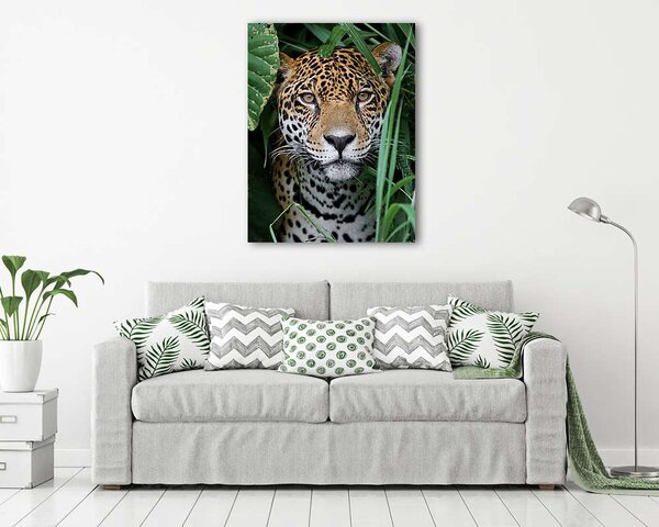Jaguar in Amazon Forest (vászonkép)