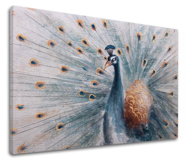 Vászonkép PÁVA 1 részes XOBCH1595HE1