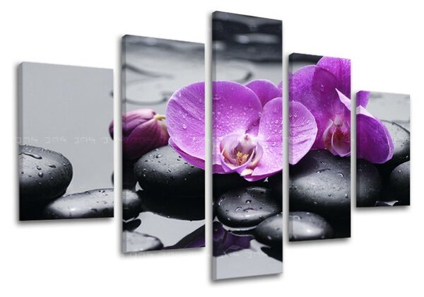 5-részes falfestmény FENG SHUI FS011E50