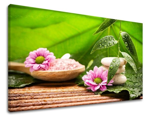 Fali művészet FENG SHUI FS021E11