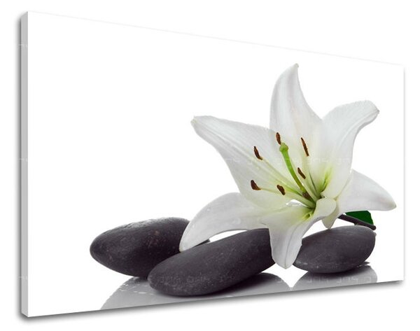 Fali művészet FENG SHUI FS029E11