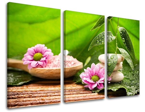 3-részes falfestmény FENG SHUI FS021E30