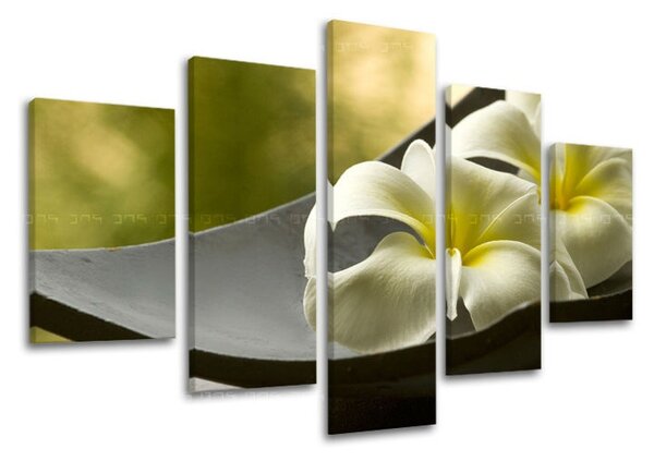 5-részes falfestmény FENG SHUI FS031E50