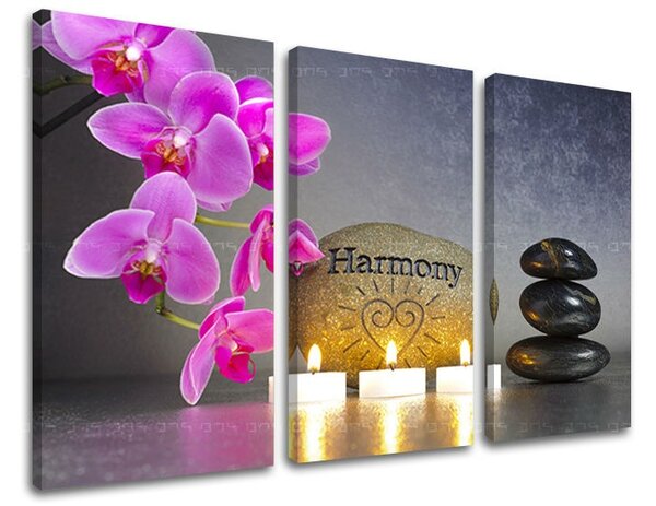 3-részes falfestmény FENG SHUI FS023E30