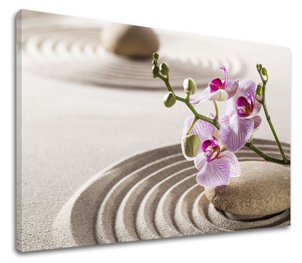 Vászonkép FENG SHUI_051 - 11