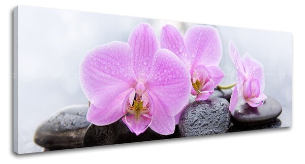 Vászonkép FENG SHUI_062 - 13