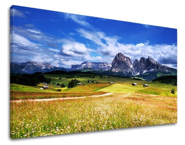 Fali festmény LANDSCAPE KR032E11