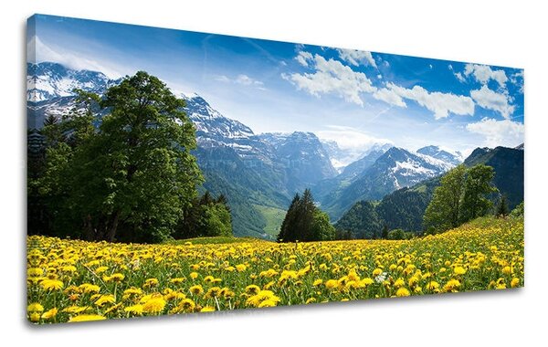 Fali festmény PANORÁMA LANDKÉP KR036E13