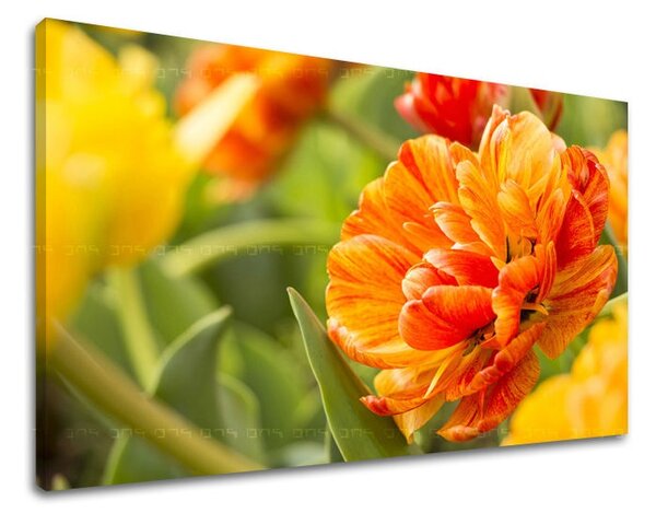 Falfestmény FLOWERS KV001E11