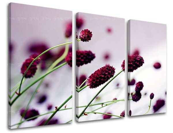 3 részes falfestmény FLOWERS KV007E30