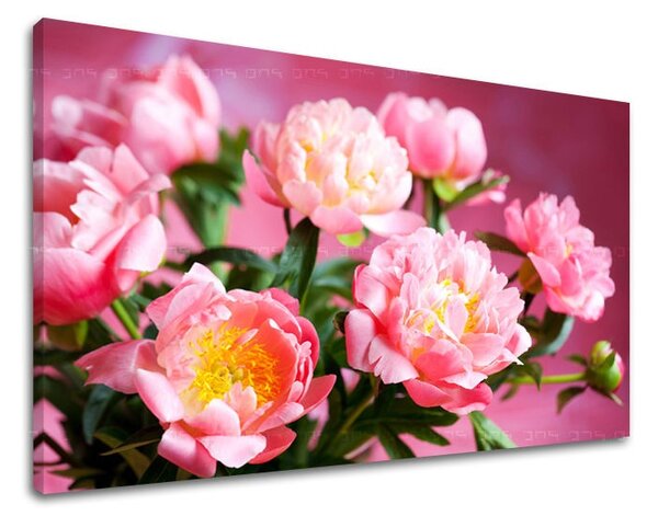 Falfestmény FLOWERS KV013E11