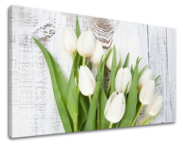 Fali festmény FLOWERS TULIPÁNY KV036E11