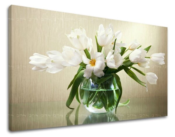 Fali festmény FLOWERS TULIPÁNY KV033E11