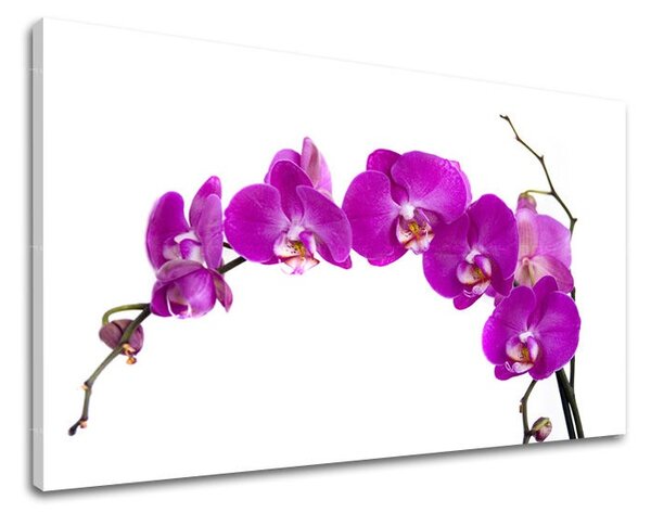 Falfestmény FLOWERS KV052E11