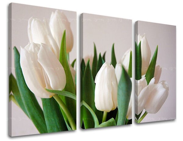 3 részes falfestmény FLOWERS XOBKV108E30