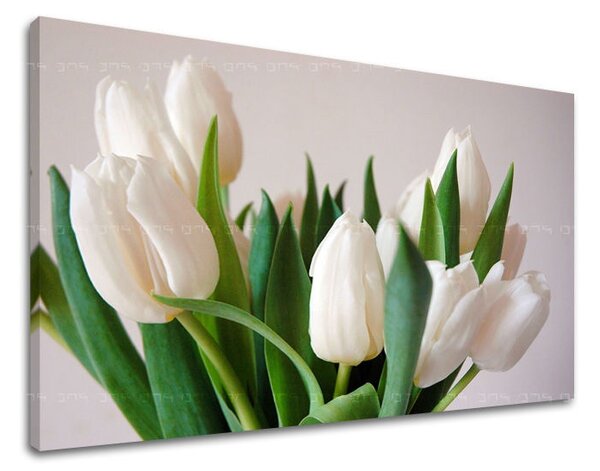 Falfestmény FLOWERS TULIPANS XOBKV108E11