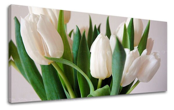 Panoráma falfestmény FLOWERS XOBKV108E13