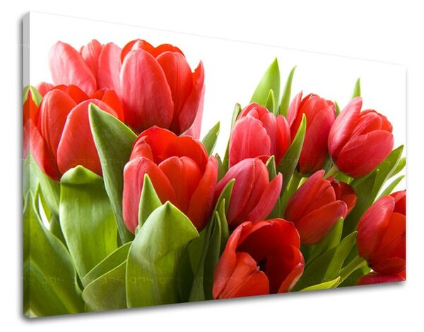 Falfestmény FLOWERS TULIPANS XOBKV120E11