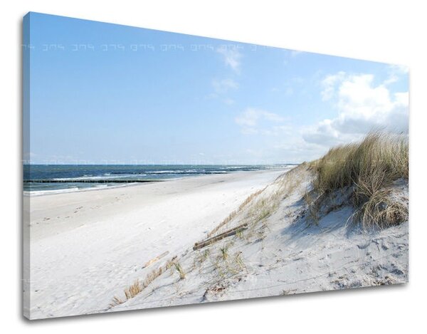 Falfestmény BEACH PL019E11