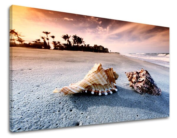 Falfestmény BEACH PL024E11