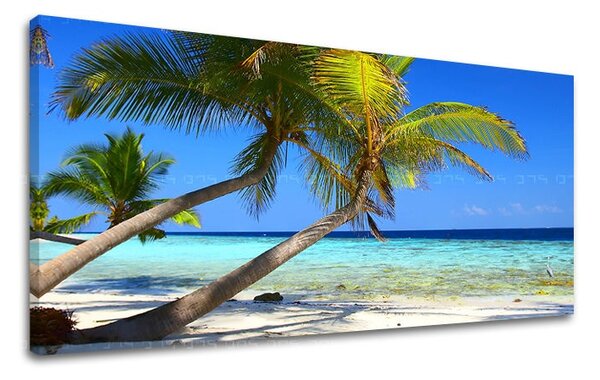 Fali festmény PANORAMA BEACH PL011E13