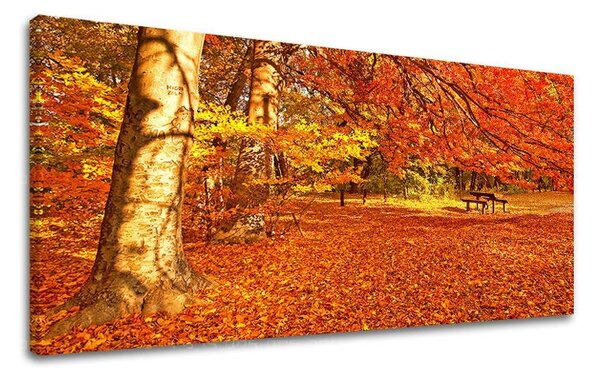 Falfestmény PANORÁMA TREES ST005E13