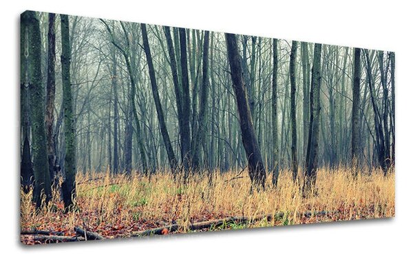 Falfestmény PANORÁMA FÁK ST019E13