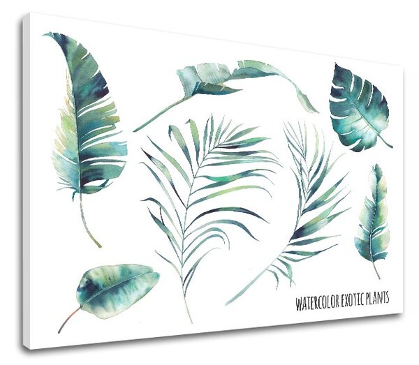 Vászonkép szöveggel Watercolor exotic plants
