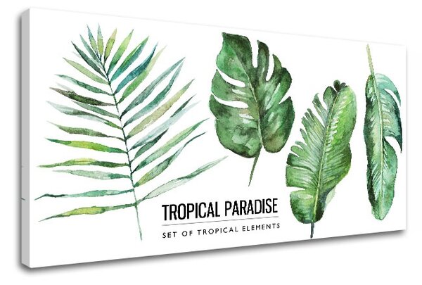 Vászonkép szöveggel Tropical paradise