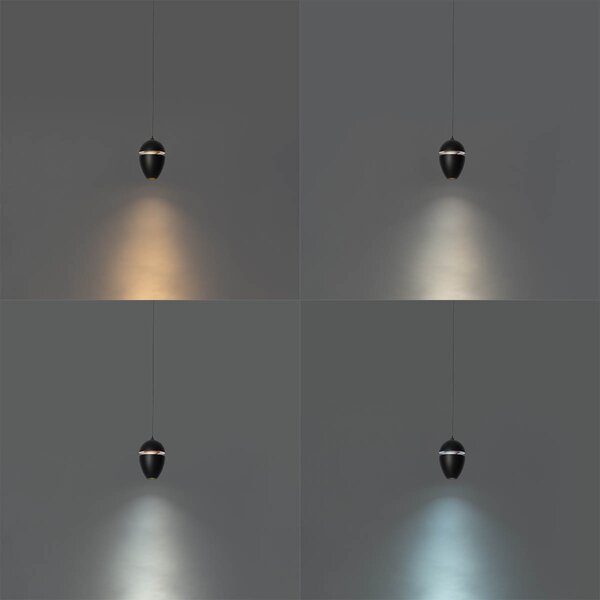 Modern fekete függőlámpa 1 fázisú sínrendszerhez LED-del - Magnetic Eggy