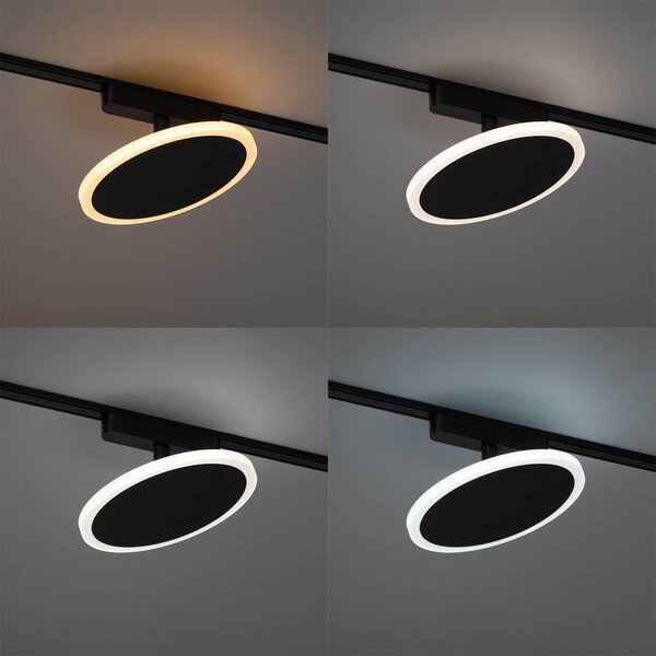 Modern fekete spotlámpa 1 fázisú sínrendszerhez, LED-del - Magnetic Puk