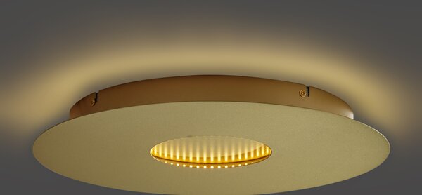 Modern mennyezeti lámpa arany 40 cm LED-del, 3 fokozatban dimmelhető - Morning