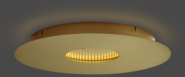 Modern mennyezeti lámpa arany 40 cm LED-del, 3 fokozatban dimmelhető - Morning
