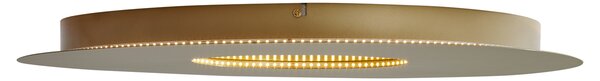 Modern mennyezeti lámpa arany 60 cm LED-del, 3 fokozatban dimmelhető - Morning