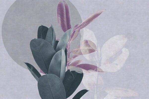 Fotótapéta Elegáns lombozat lágy színárnyalatokkal, Pálmaleveles fotótapéta, Népszerű fotótapéta, u71334v3 - Tapeko.hu
