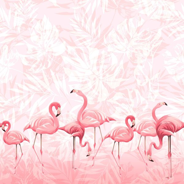 Fotótapéta Egy csoport rózsaszín flamingó, Flamingós fotótapéta, Népszerű fotótapéta, u97217 - Tapeko.hu