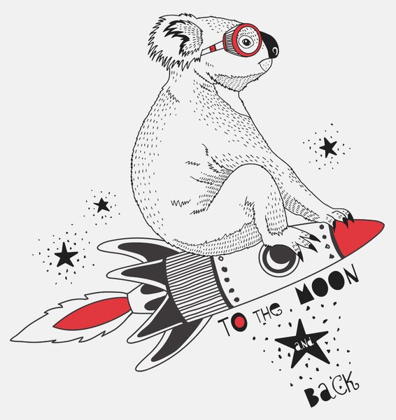 Fotótapéta Egy koala egy rakétán, Állatos fotótapéta, Népszerű fotótapéta, w00151 - Tapeko.hu