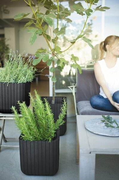 Keter Cube Planter S virágláda antracit
